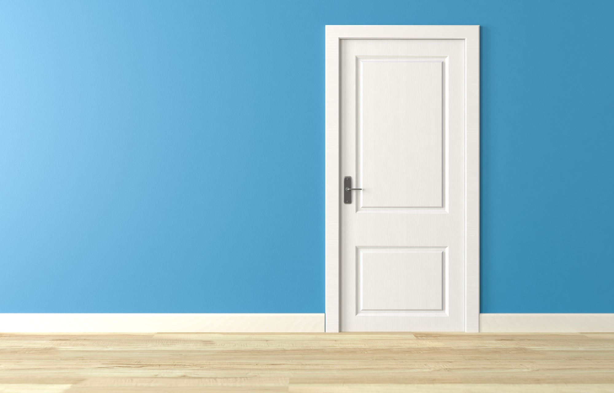 White Interior Door