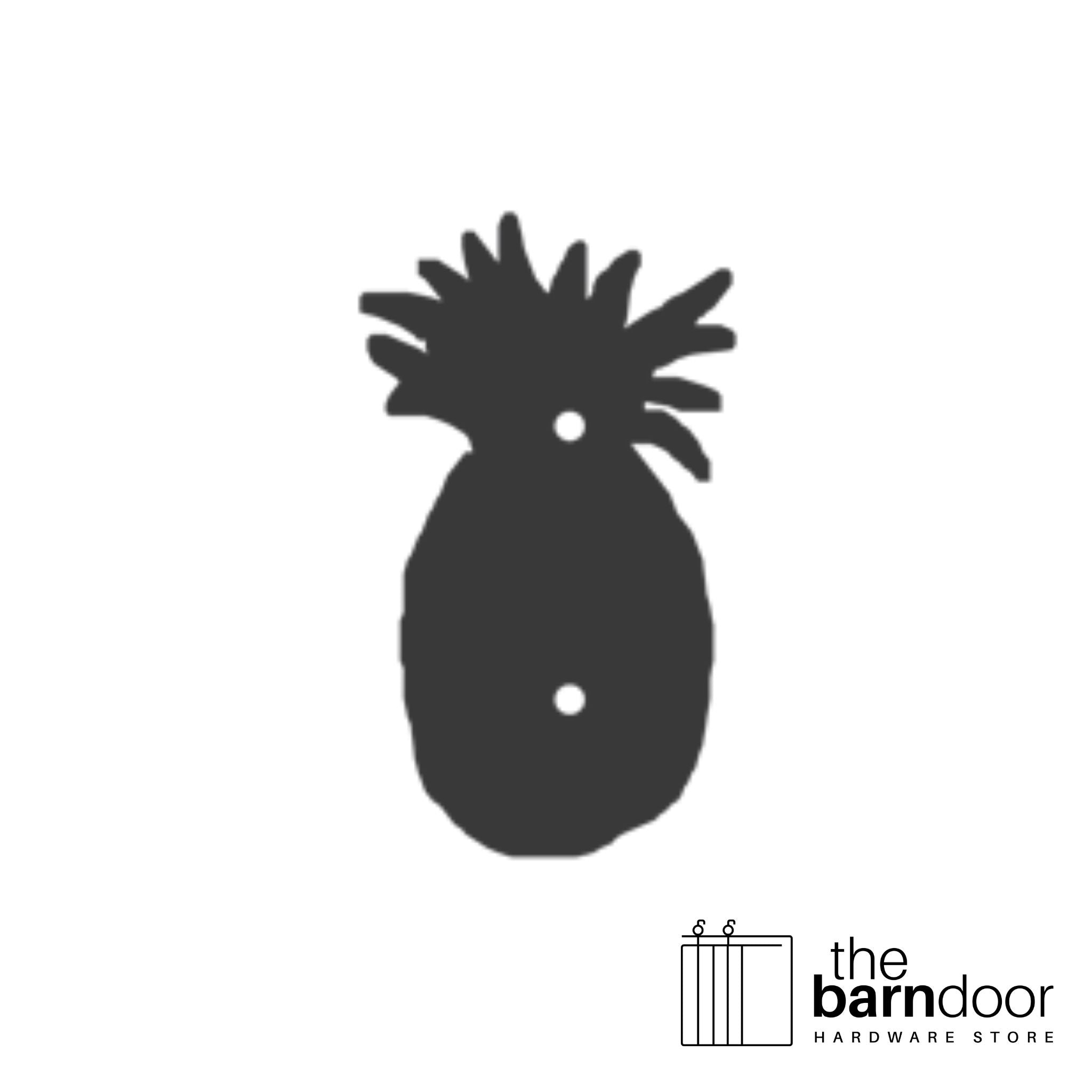 Pineapple barn door accent trim in black— Goldberg Brothers Coastal & Tropical collection