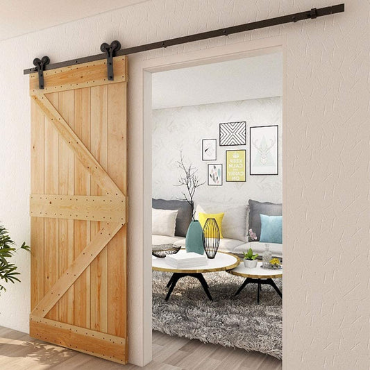 Horn Barn Door Hardware in Living Room